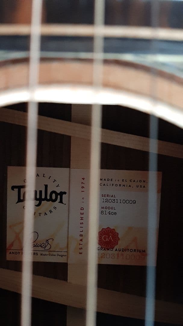 Taylor 814ce アコースティックギター ハードケース付