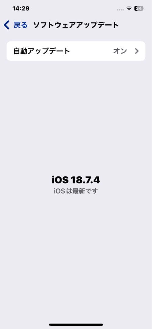 携帯電話本体 iPhone XS. max256GB
