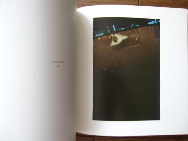 Early Color　Saul Leiter　ソール・ライター