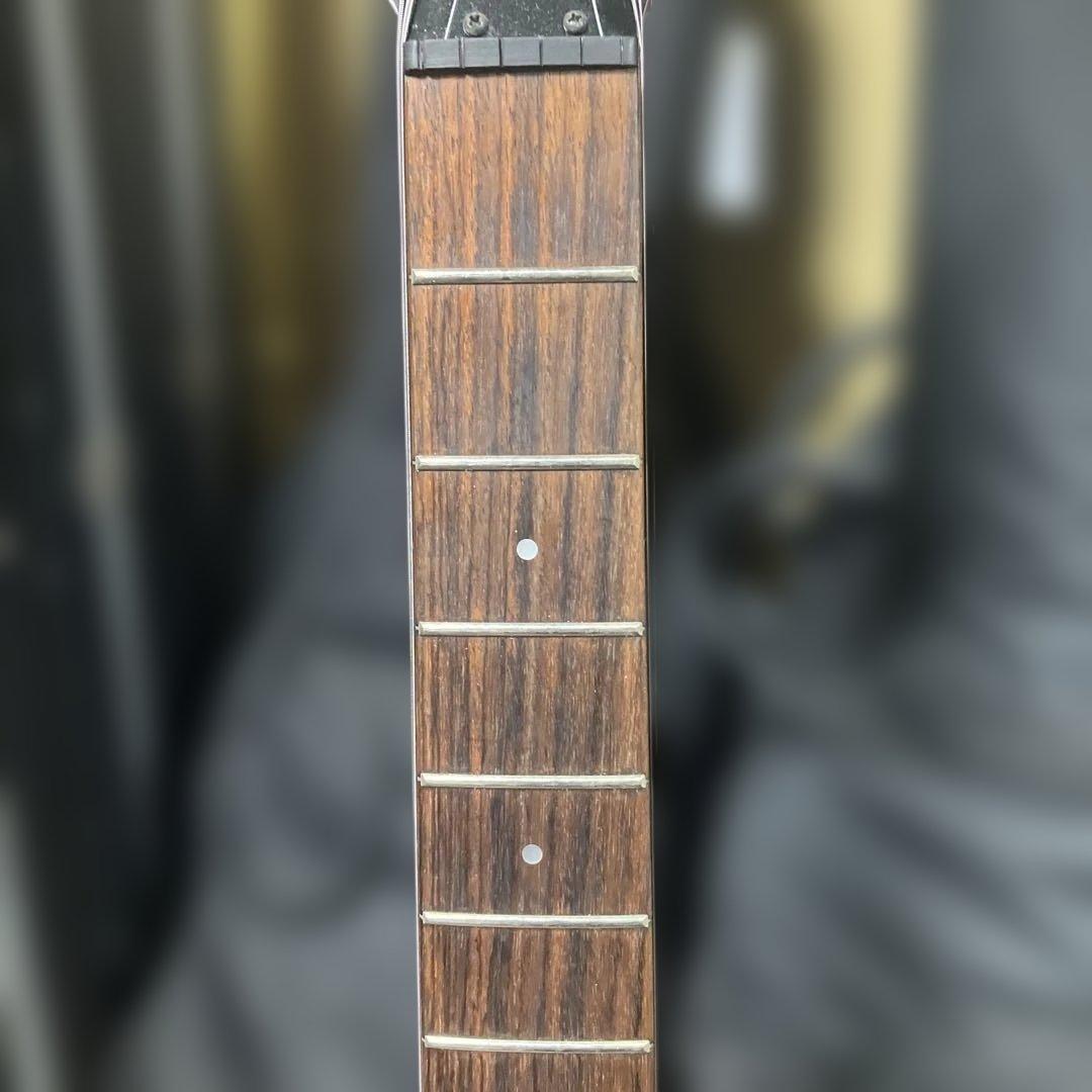 フェルナンデス FGZ SSH ディンキー