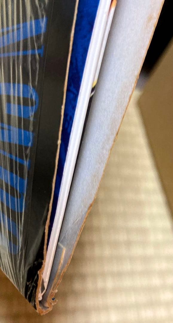 GunsN'Roses Use Your Illusion II ガンズ LP