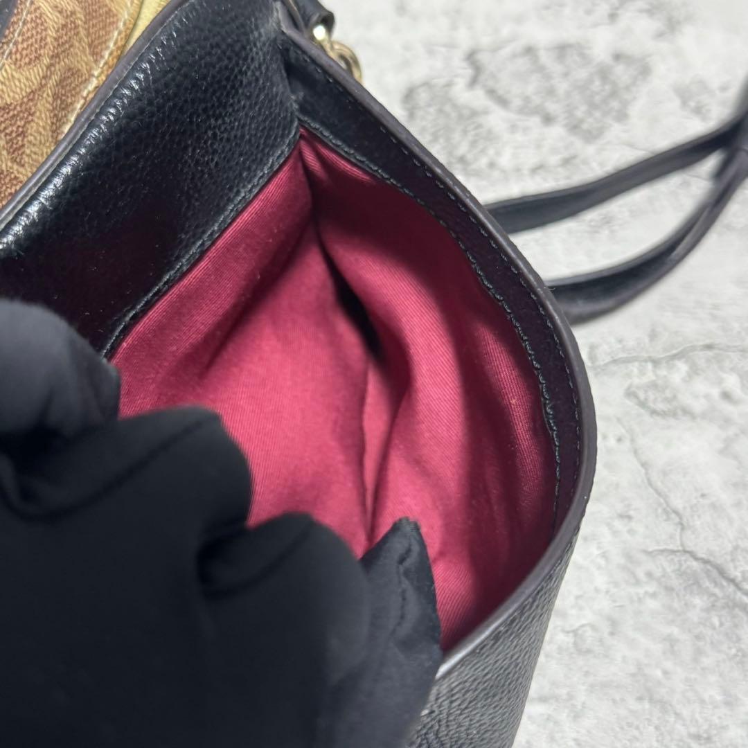 極美品✨️コーチ カメラバッグ ショルダー ディズニー とんすけ レザー 黒