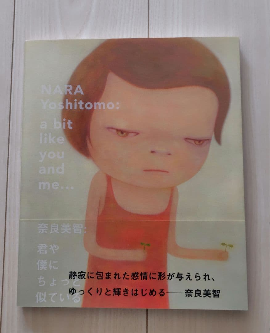 【まとめ売り】YOSHITOMO NARA／奈良美智　　　CD-ROM付き