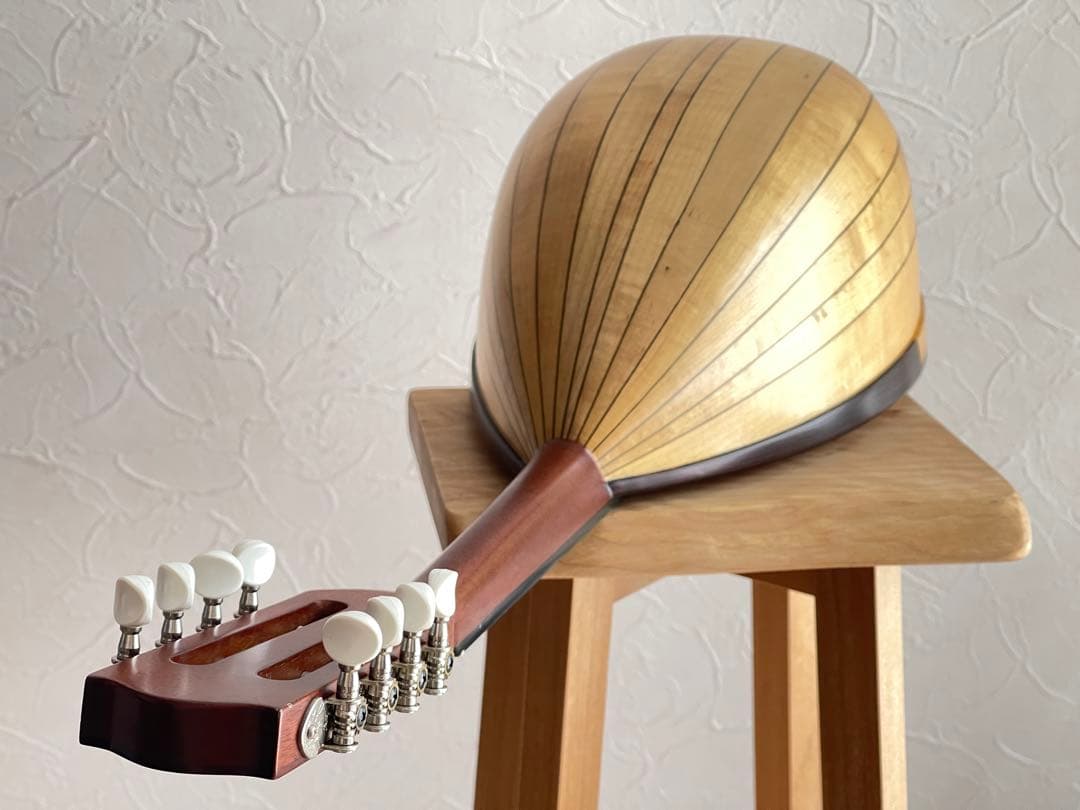 Ena Mandolin 恵那マンドリン EM-40