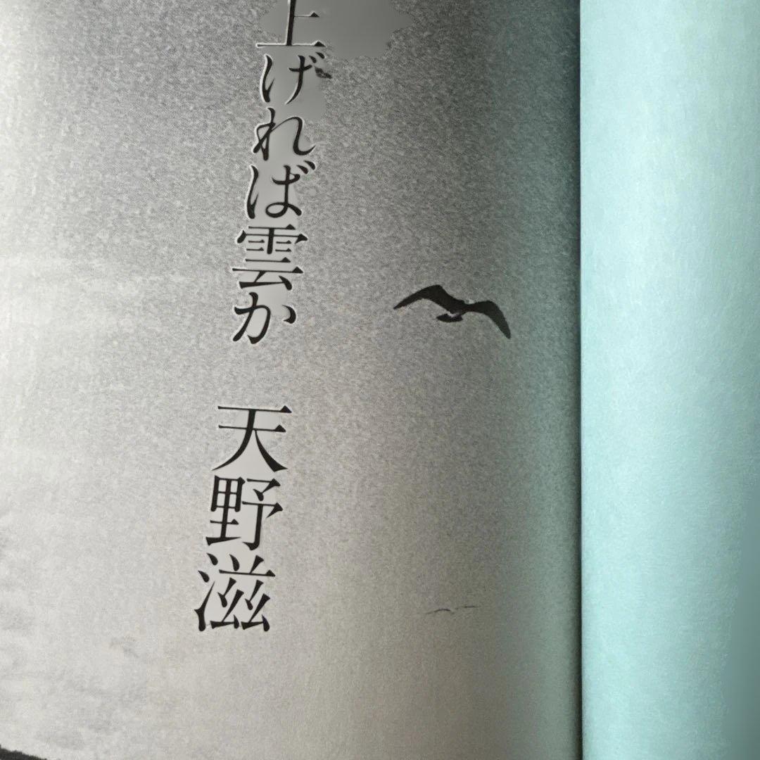 「見上げれば雲か」 天野滋