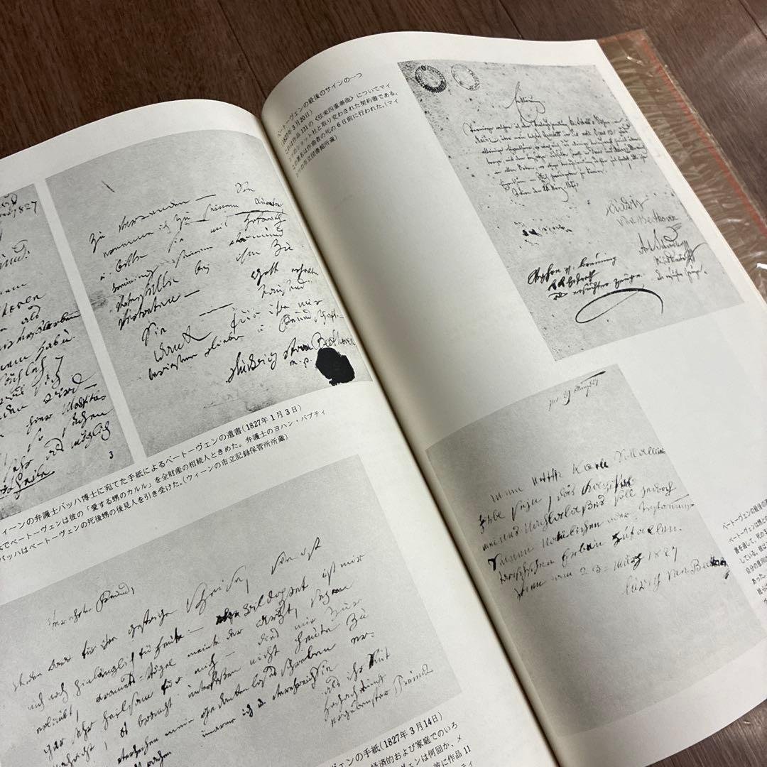 希少// BEETHOVEN/目で見るドキュメント　<音楽之友社>