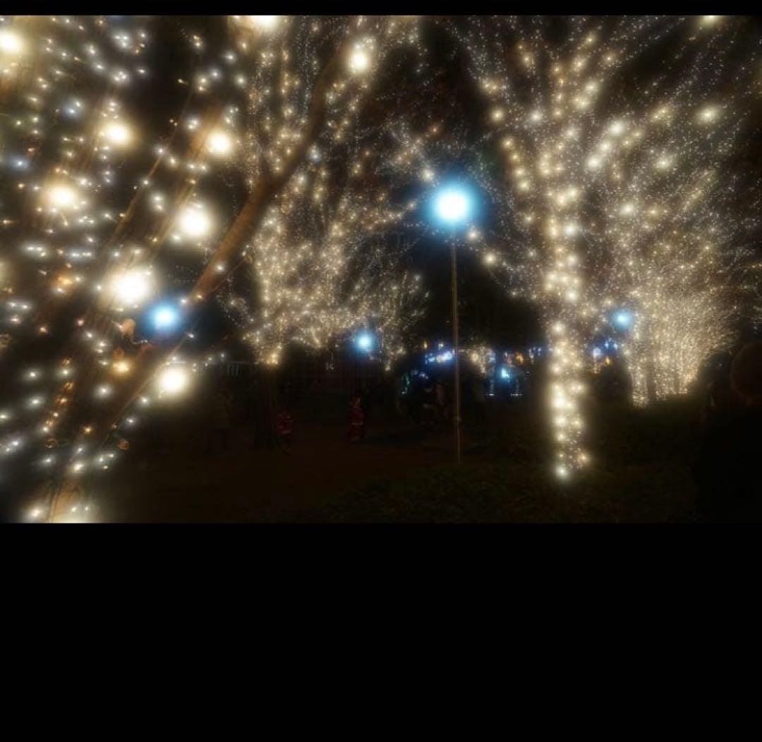 ソニー／SEL24105G ＋フィルターセット