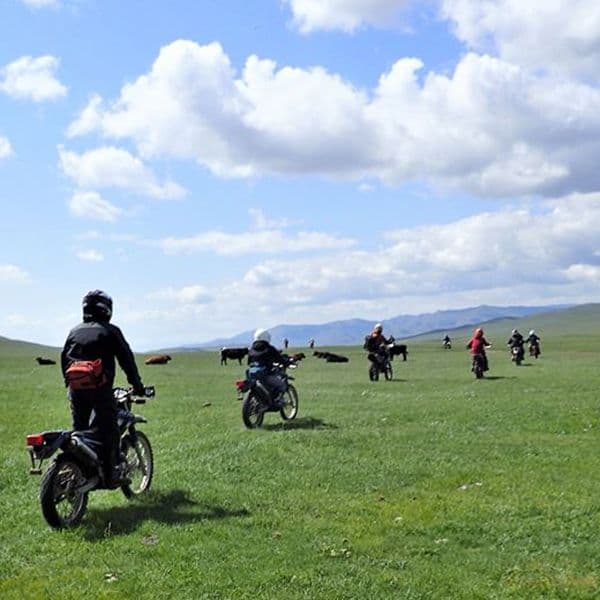 マックスフリッツ ウエストバッグ モンゴル4 ネイビー MFA-2501