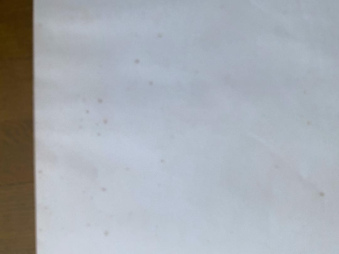 レ*オ様 横尾忠則　ポスター「AMAZON、アマゾン」 1989年