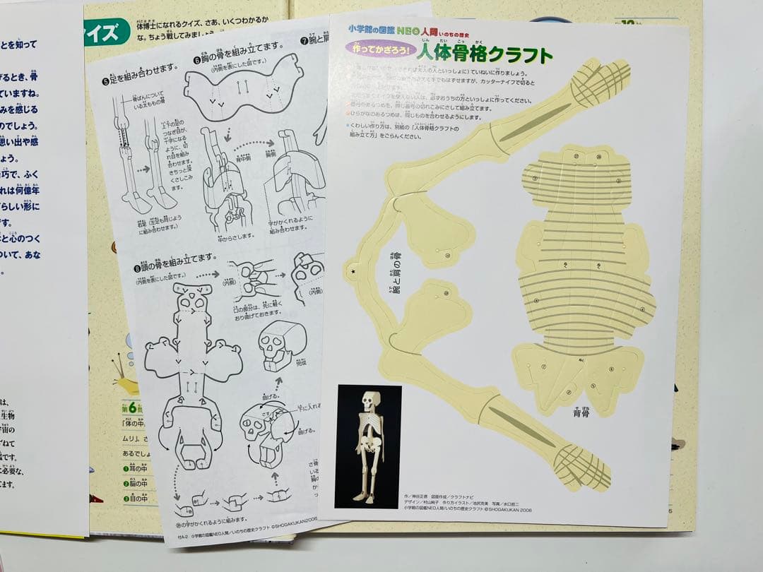 匿名発送　小学館の図鑑　NEO 20巻セット