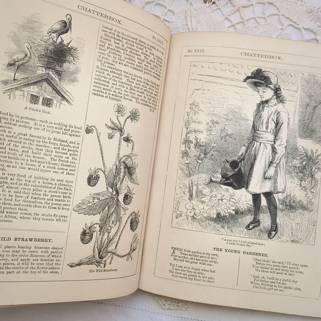 稀少1897アンティーク絵本 洋書 児童書 ヴィクトリアン ヴンテージ