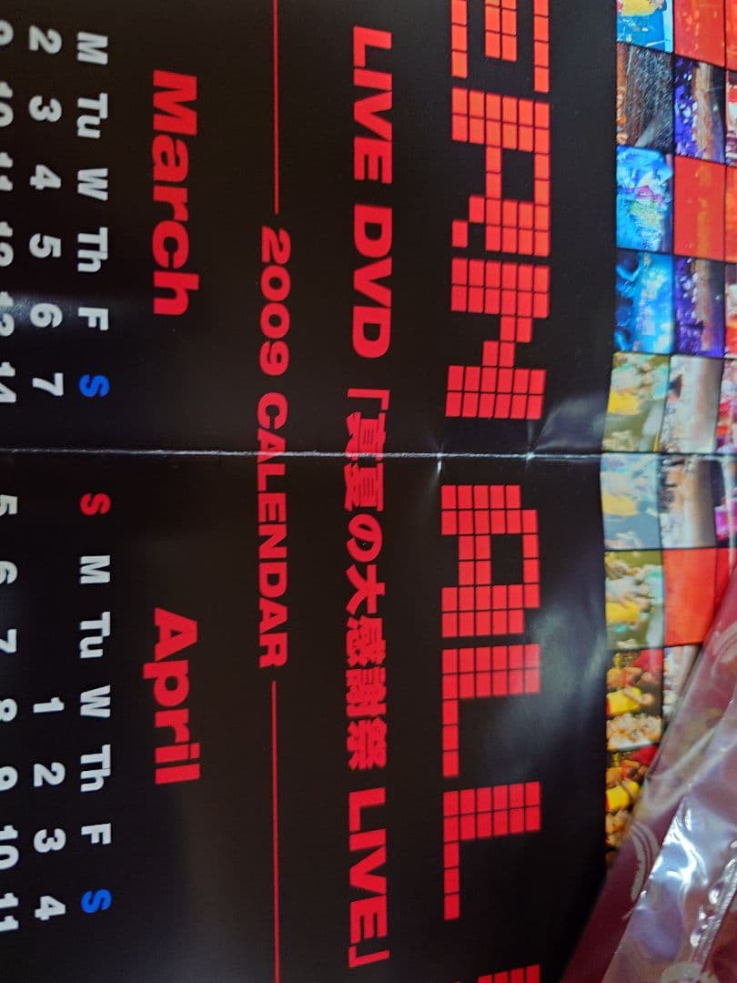 サザンオールスターズ 初回盤DVD 真冬の御歳BOX ポスター折畳 新品未開封