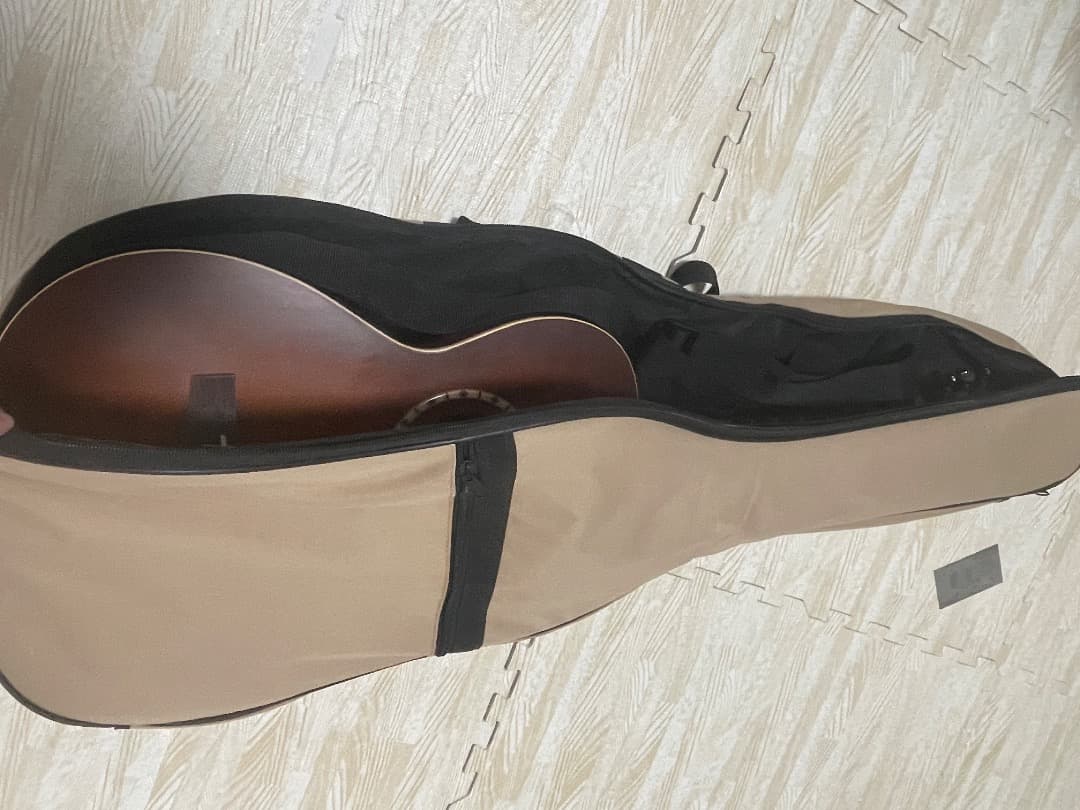 Art&Lutherie パーラーギター