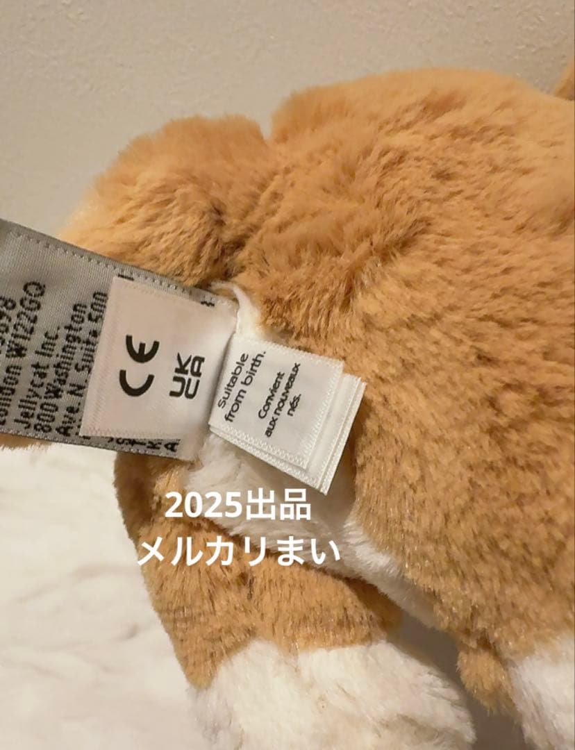  Betty Corgi ぬいぐるみ コーギー ジェリーキャット