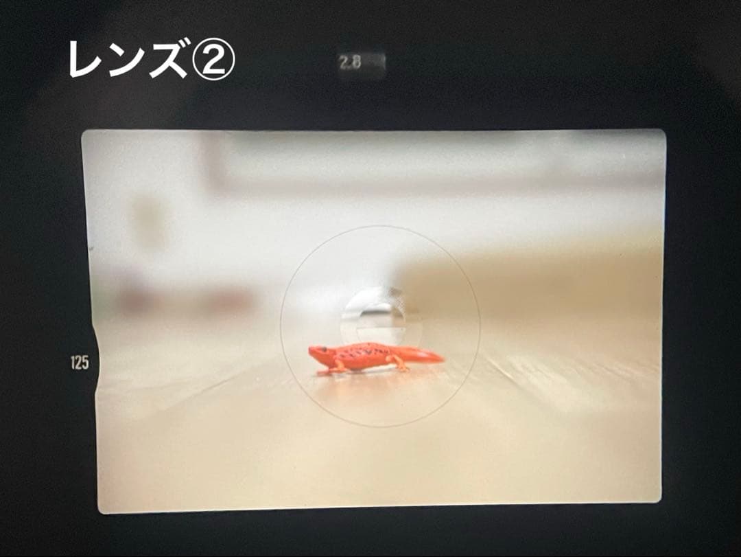 Nikon FM2 フィルムカメラ レンズ3本セット