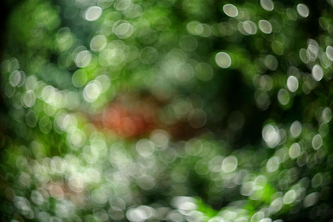 19【希少】Helios 初期型ゼブラ　ヘリオス44 ぐるぐるボケ