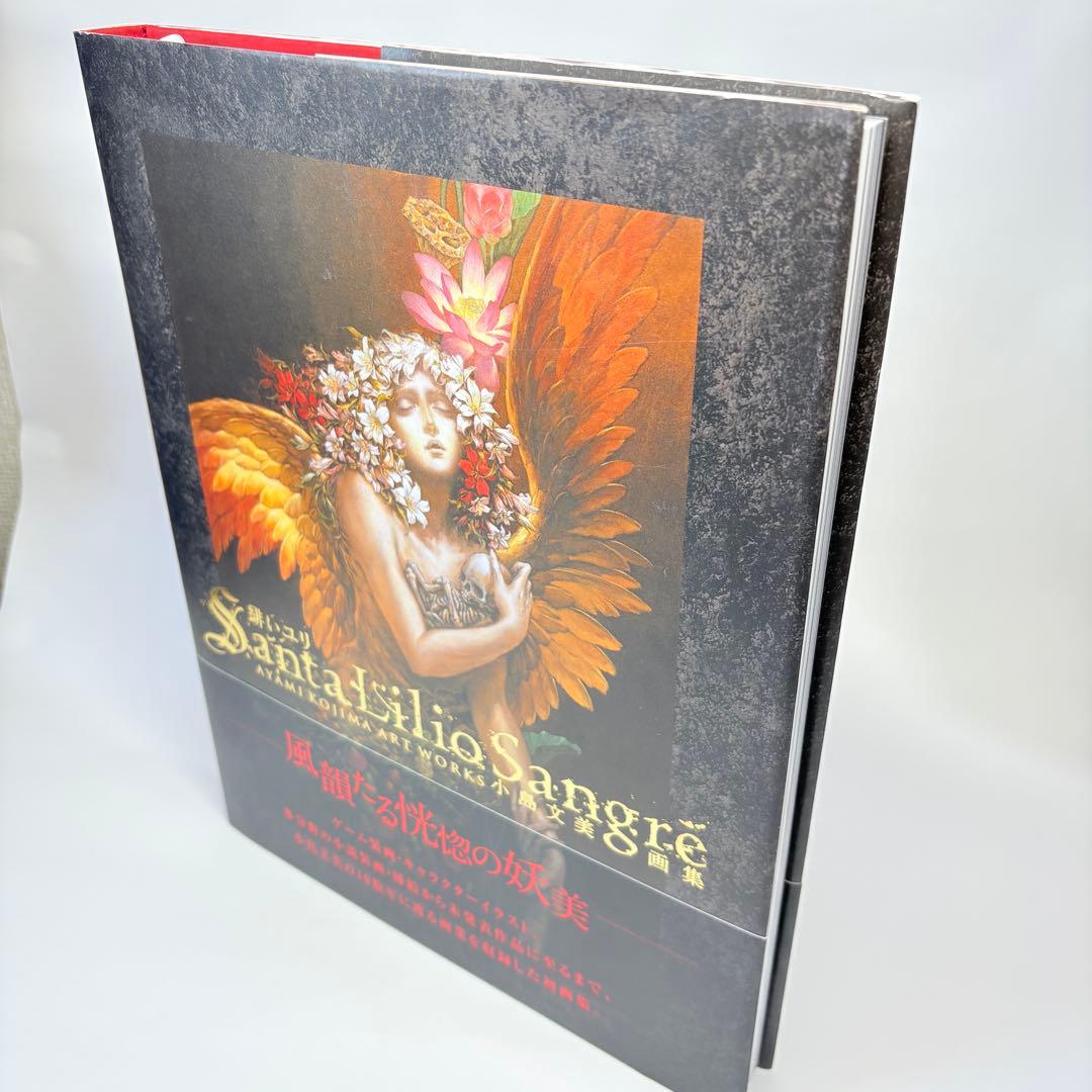 小島文美 画集 Santa Lilio Sangre 緋いユリ