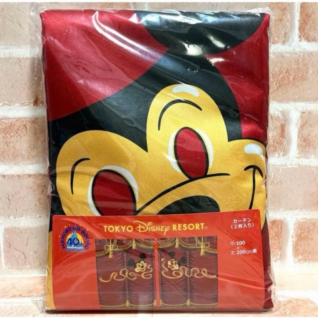 最終値下げ　ディズニー メモリーゴーラウンド カーテン 40周年