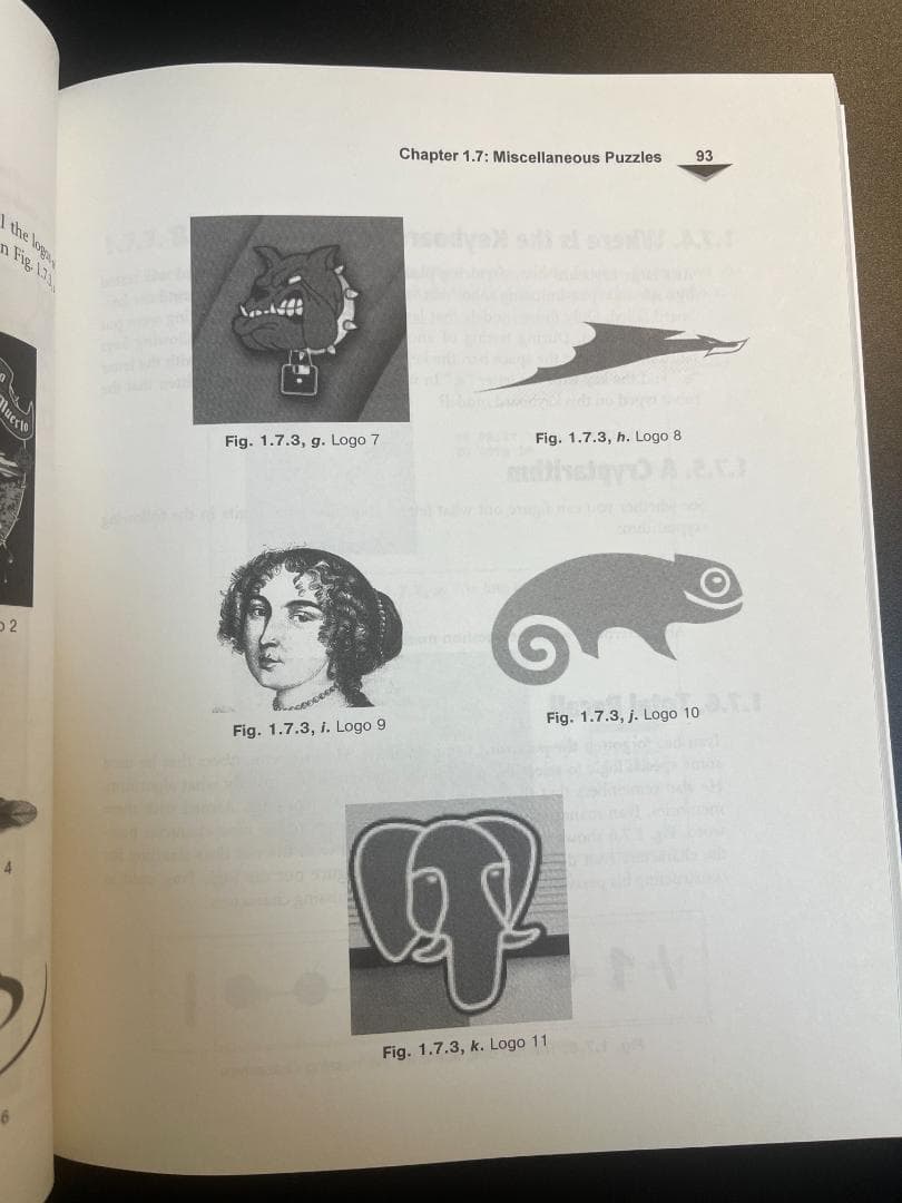 【洋書】『Puzzles for Hackers』【激レア・プレミア品】