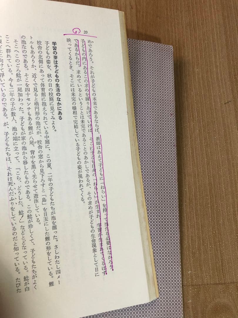 【絶版　超貴重】三枝孝弘指導　長野県伊那市立伊那小学校『学ぶ力を育てる』