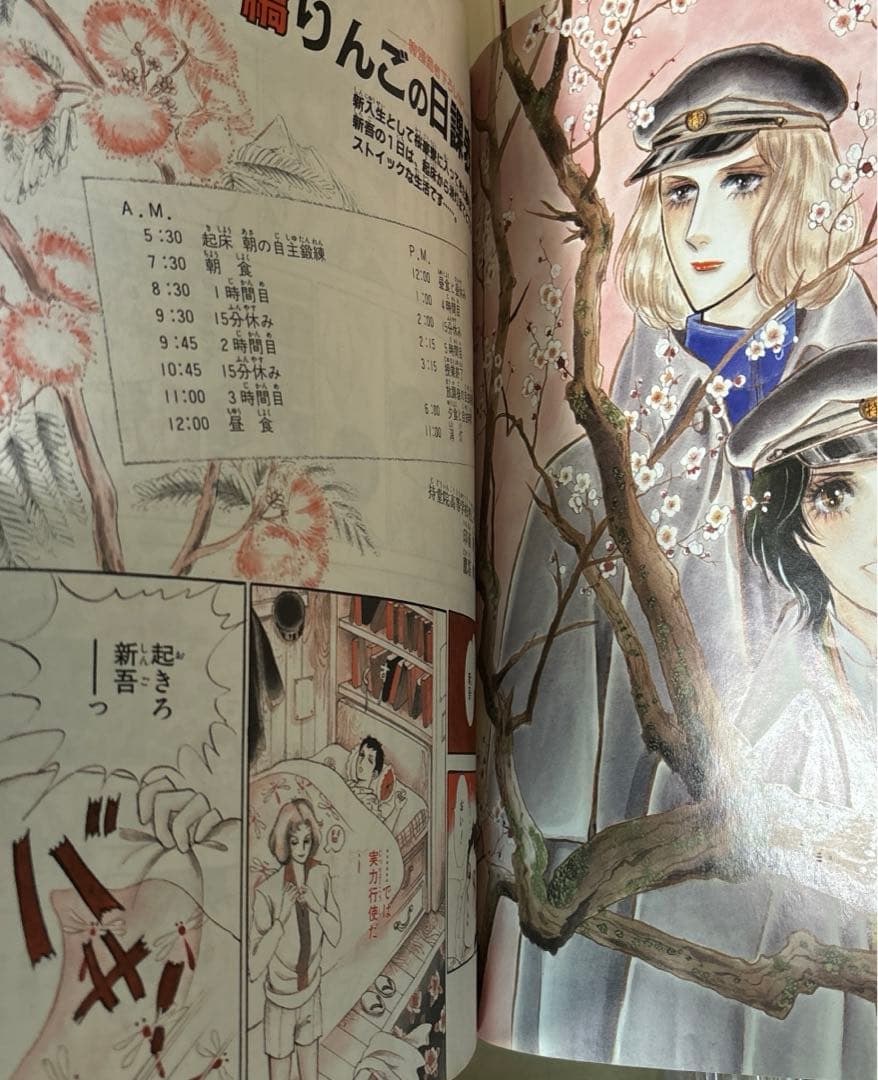 K*i様 摩利と新吾他　木原敏江作品54冊セット