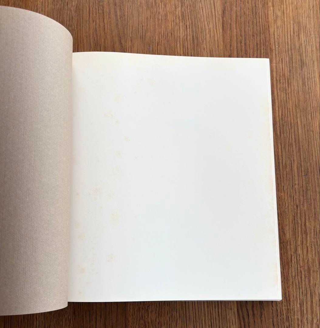 Bruce Davidson East 100th Street 写真集