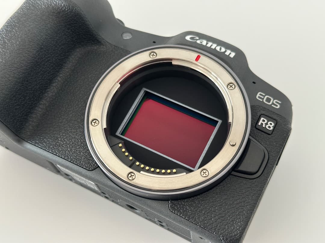 【美品】Canon EOS R8 ボディ / ショット数279枚