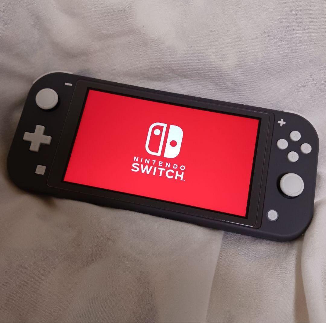 Nintendo Switch Lite 届いてすぐ遊べちゃう❗️