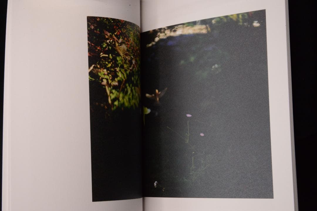 As the Crow Flies:Terri Weifenbac★値下げました