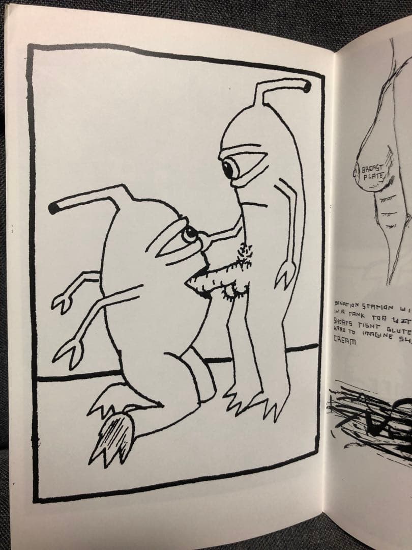 レア Deanna Templeton Ed Templeton ZINE