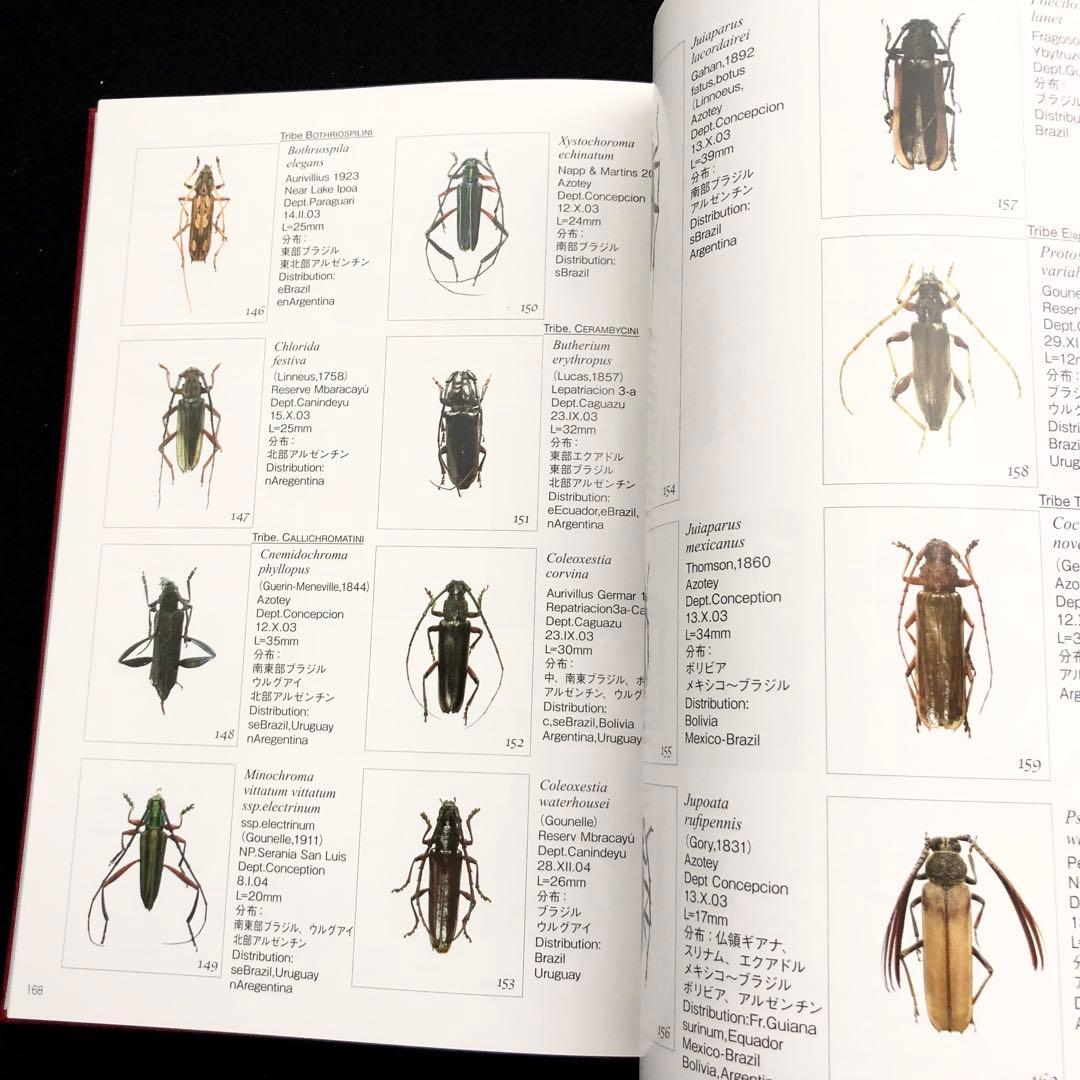 野生ラン 写真集「艶蘭亭 ADELANTE - パラグアイの野生蘭と甲虫」小山貢