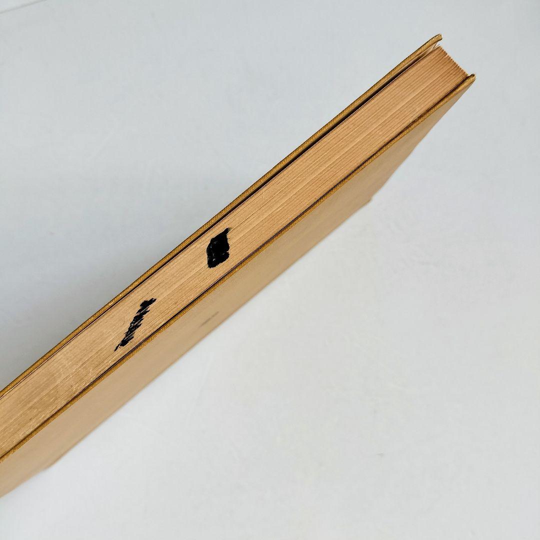 図説 筋の機能解剖 医学書院 矢谷令子 小川恵 子 訳