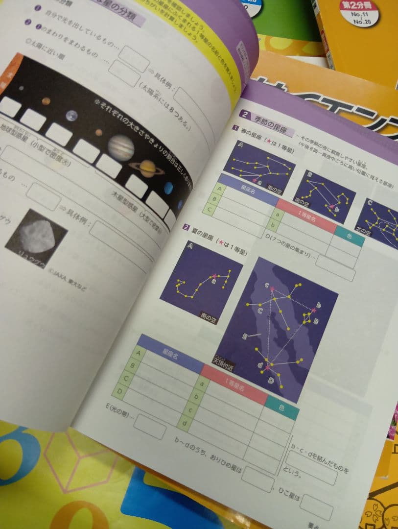 浜学園　小５　国語/算数/理科/春/夏/冬　テキスト　2024年使用版　 中古