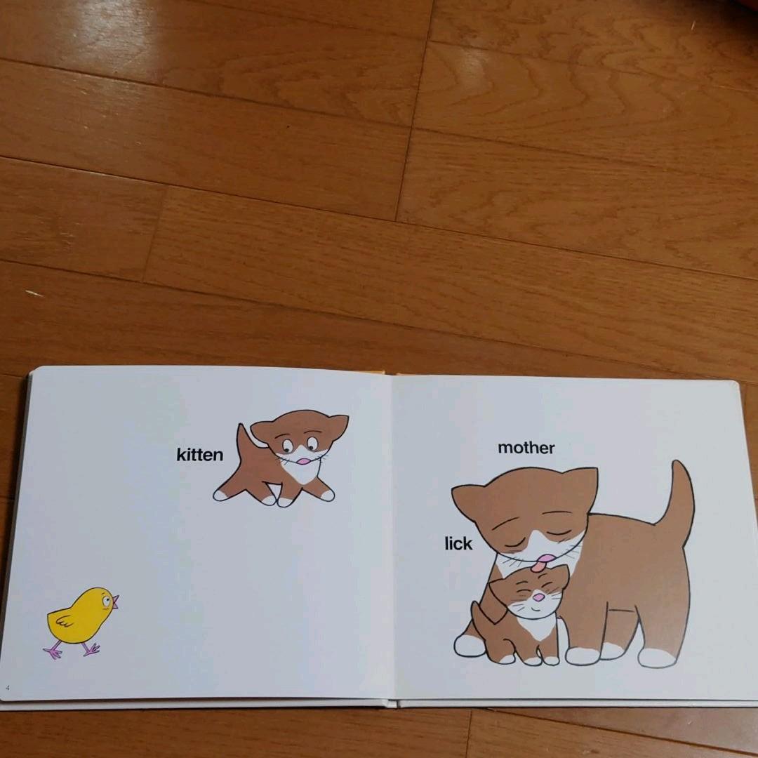 幼児絵本英語セット　ブックローン出版