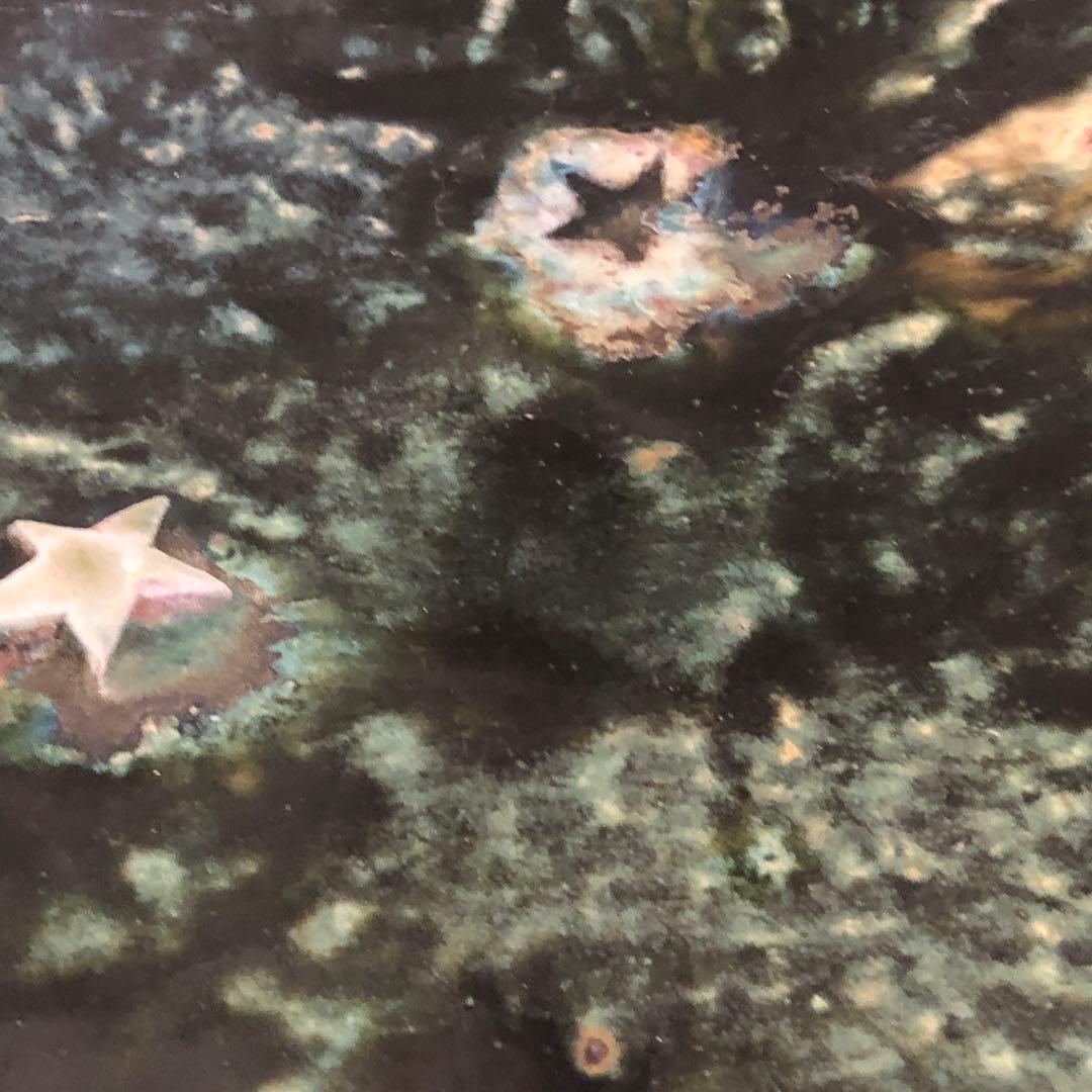 花器　水盤　盆栽　フラワーベース　アレンジメントフラワー　921