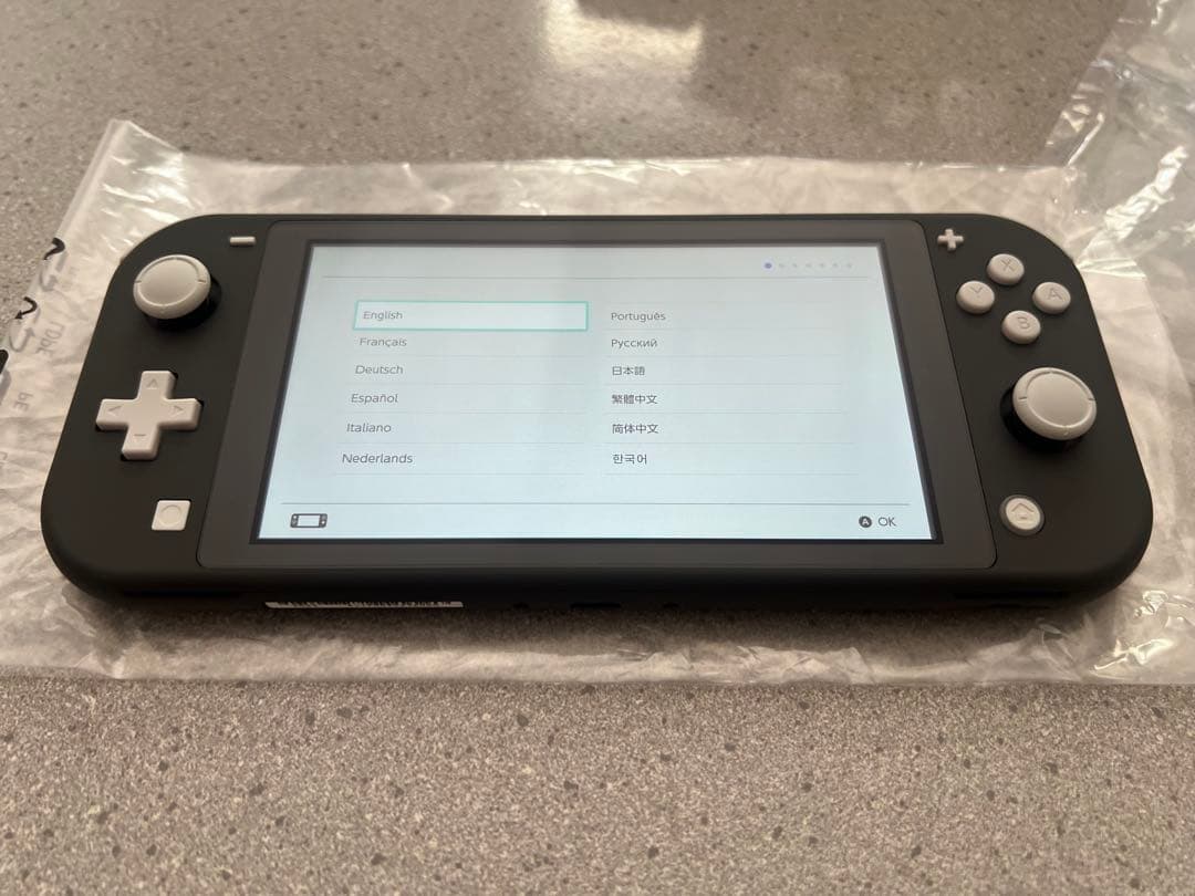 【超美品】Nintendo Switch Lite グレー 本体　ケース付き