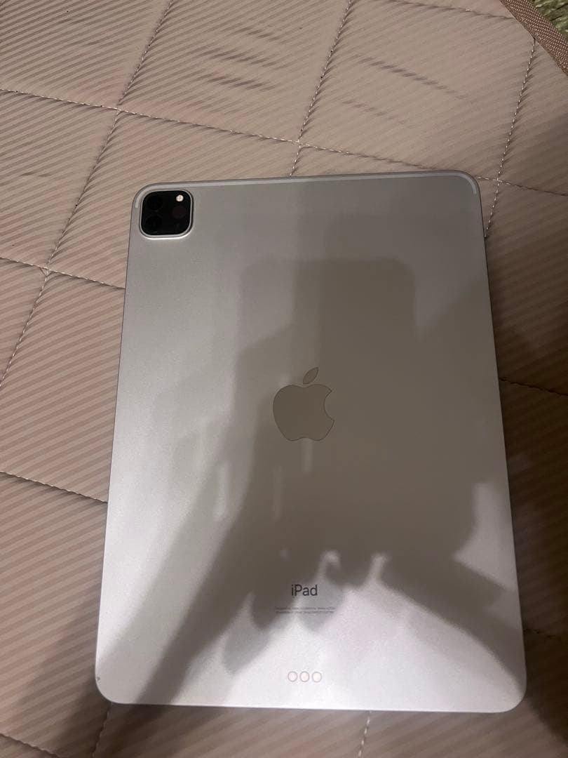 Apple iPad Pro 11インチ 第二世代シルバー 本体とPencil