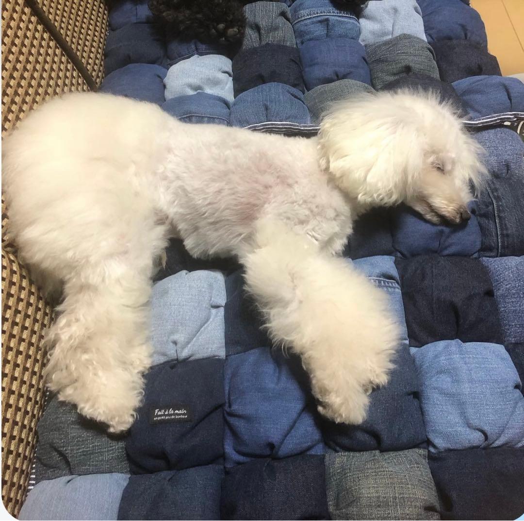 ぽこぽこカフェマット　Mサイズ　クッション　①  デニムリメイク