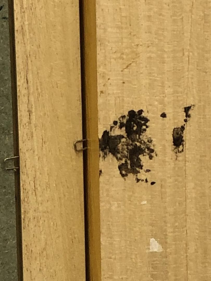 イタリア製　巨大絵画　ゴッホ『花咲くアーモンドの木』　額絵　絵画　アート　パネル