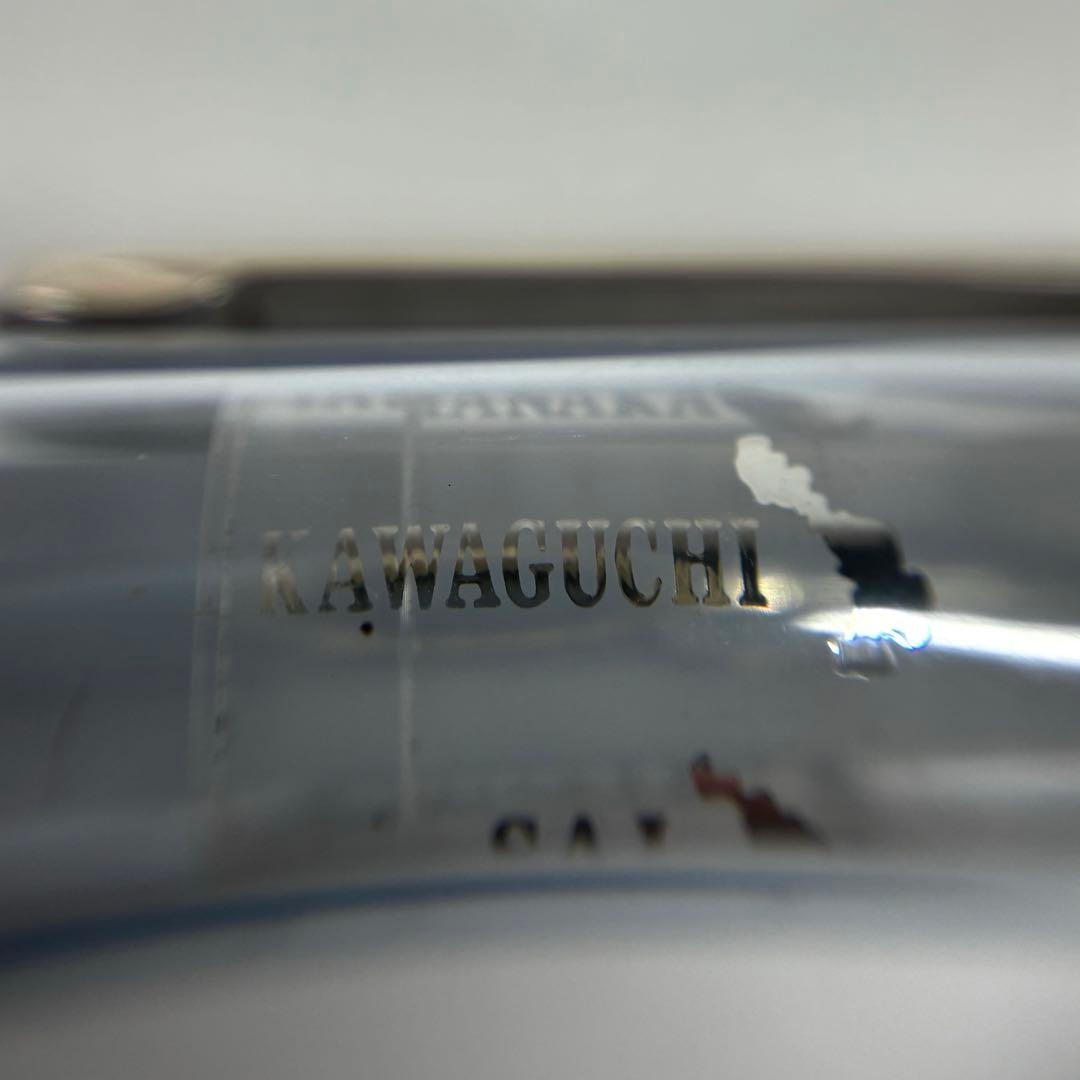 プラチナ 万年筆 ＃3776 センチュリー 精進 中字