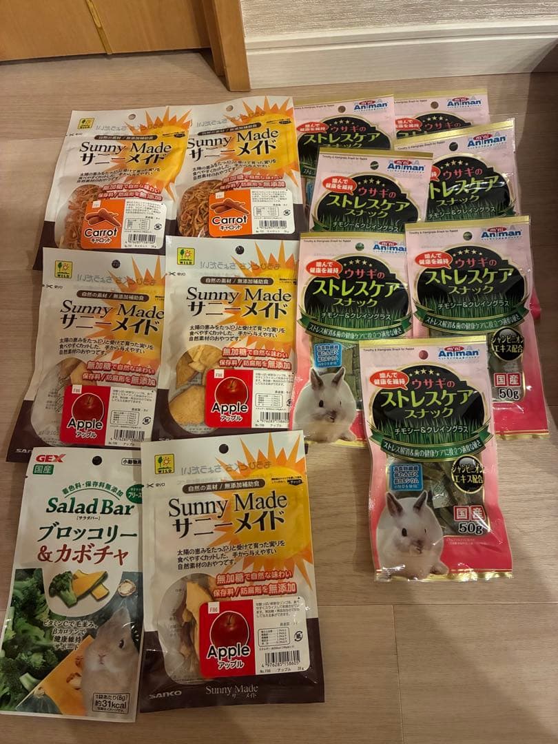 うさぎ　飼育セット