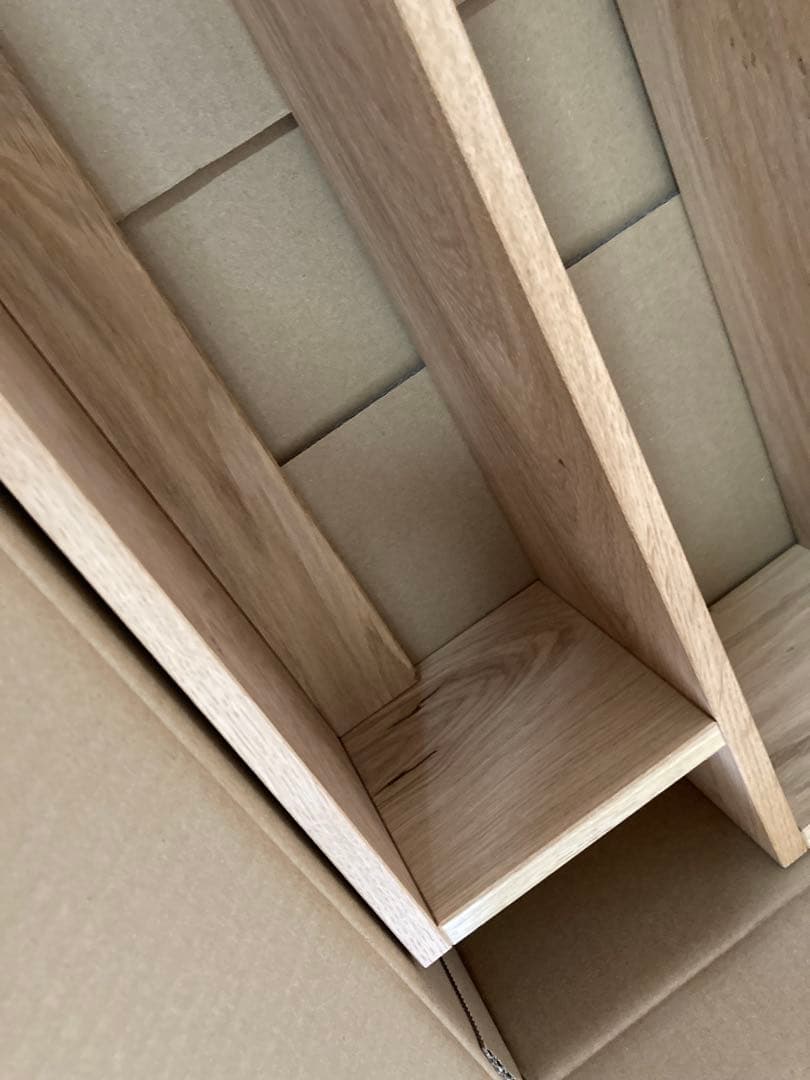 scope サイドバイサイド　ティーラック（新品）