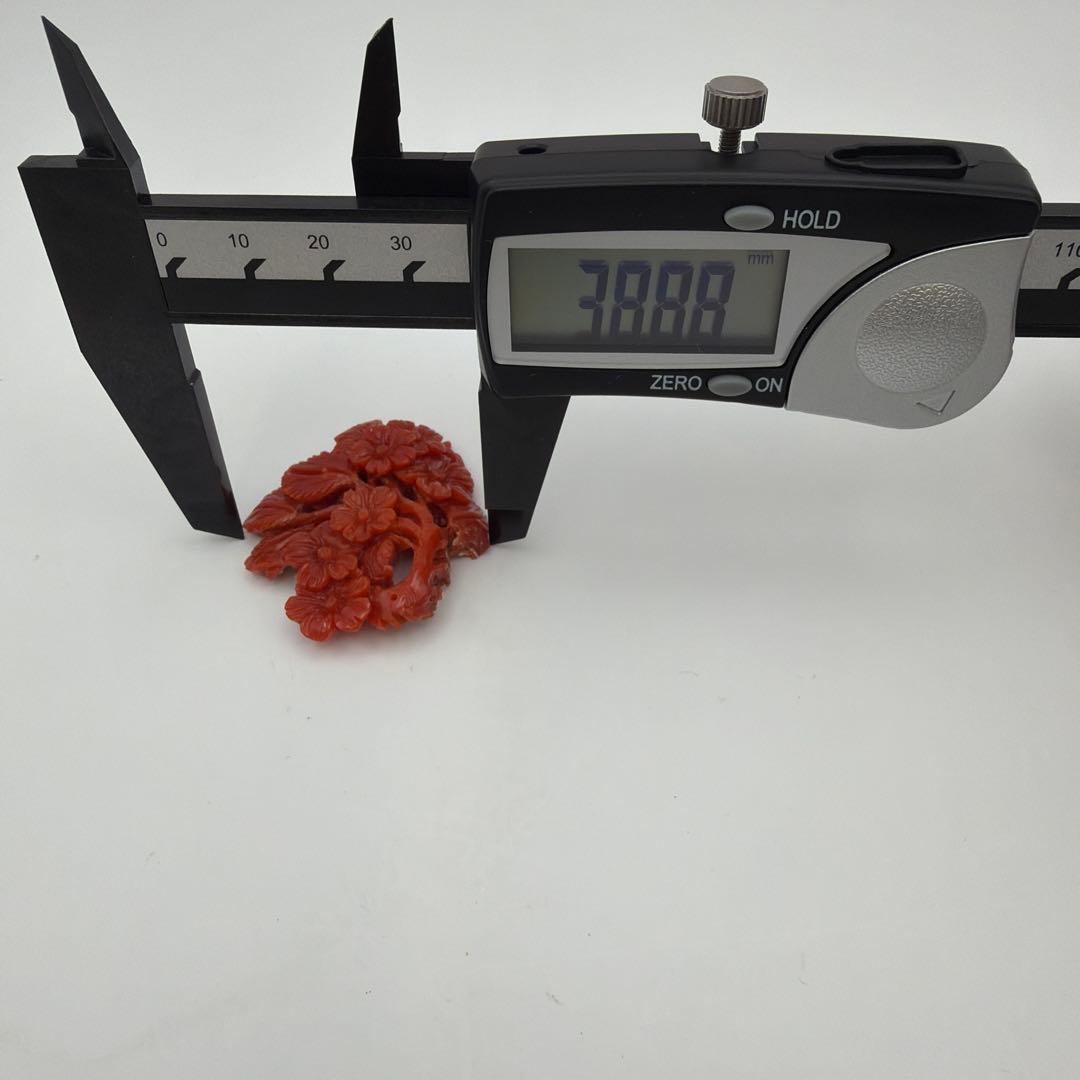 珊瑚 アンティーク 赤珊瑚　Y