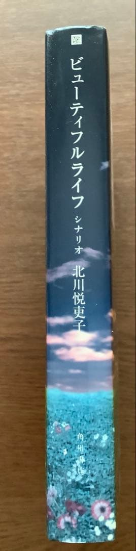 ビューティフル ライフ　ふたりでいた日々 DVD-BOX 新品・シナリオ本セット