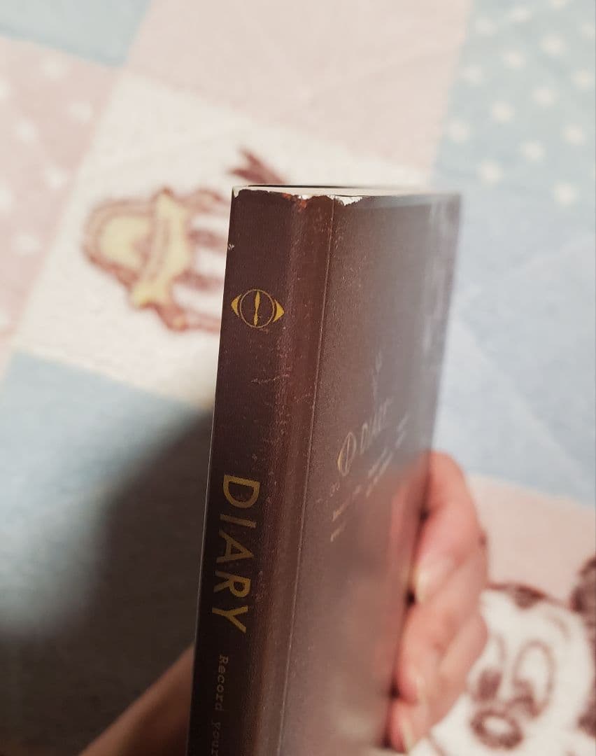 ヨルシカ エルマ 盗作セット 初回限定盤