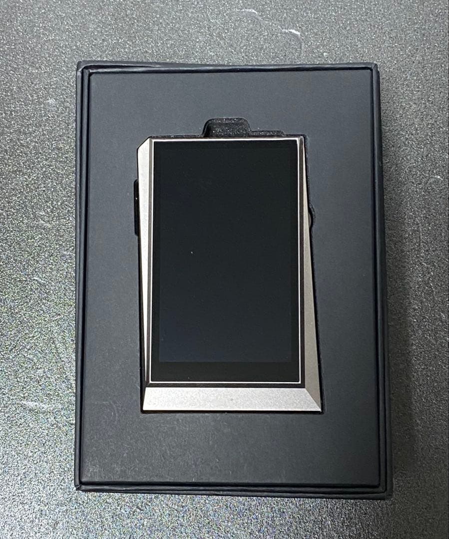 Astell&Kern AK380 AMP用Dignis本革ケースのみ