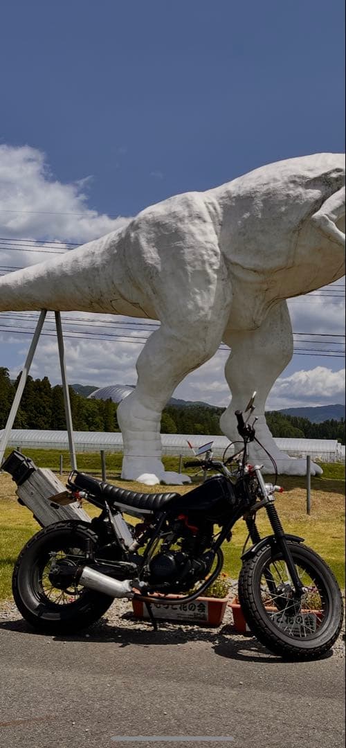 tw200 SUPERTRAPP マフラー アルミ製