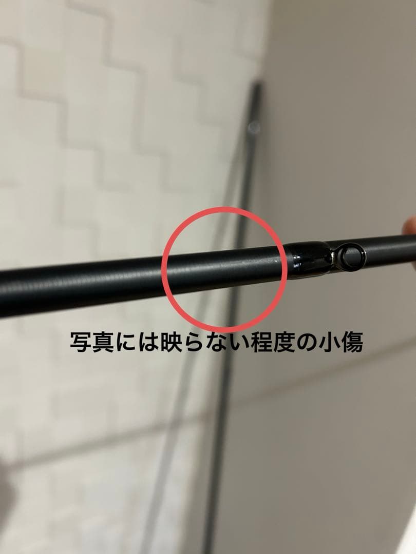 まよいまいまい