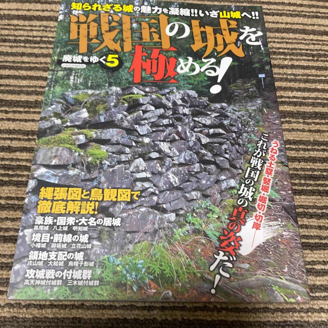 廃城をゆく　シリーズ❶〜❽ イカロス出版