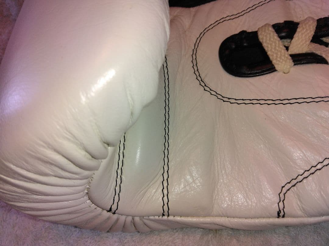 カサノバ、レイジェス　ボクシンググローブ